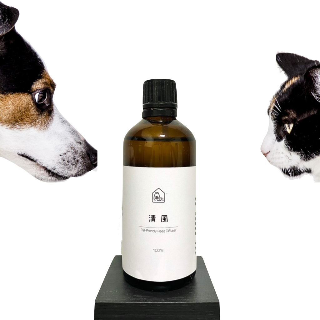 寵物友善|清風